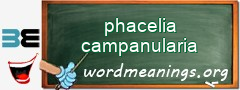 WordMeaning blackboard for phacelia campanularia